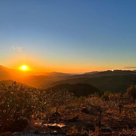 Casa Pura Vida - Malaga - Andalusie Villa Colmenar Dış mekan fotoğraf